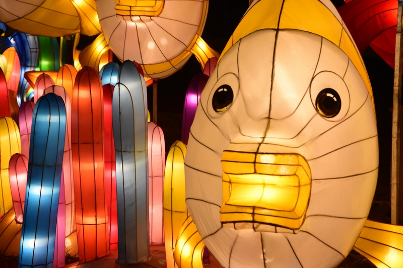 WONDERLAND A magical city of lights